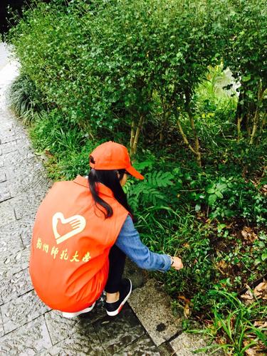 QQ图片20161008081950